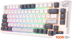 Клавиатура Royal Kludge RK-H81 RGB WHITE NIGHT (RK CYAN) (72726)