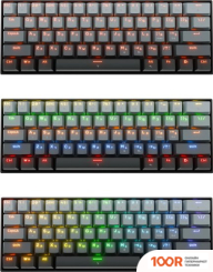 Клавиатура Redragon FIZZ RT (72649)