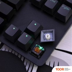 Клавиатура Red Square KEYROX TKL EQUINOX (72602)