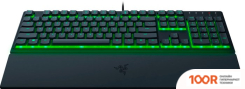 Клавиатура Razer ORNATA V3 X (72574)