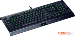Клавиатура Razer CYNOSA LITE (72522)