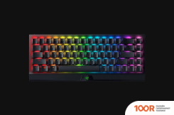 Клавиатура Razer BLACKWIDOW V3 MINI HYPERSPEED YELLOW SWITCH (72489)