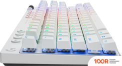 Клавиатура Logitech PRO X TKL LOGITECH GX BROWN TACTILE 920-012143 (БЕЛЫЙ, НЕТ КИРИЛЛИЦЫ) (72247)