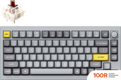 Клавиатура Keychron Q1 V2 RGB Q1-N3-RU (GATERON G PRO BROWN) (71976)