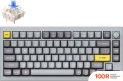 Клавиатура Keychron Q1 V2 RGB Q1-N2-RU (GATERON G PRO BLUE) (71975)