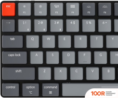 Клавиатура Keychron K3 V2 WHITE LED K3-D1-RU (KEYCHRON LOW PROFILE OPTICAL RED) (71908)