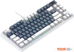 Клавиатура Havit GAMENOTE KB884L RGB (БЕЛЫЙ, CONTENT RED) (71732)