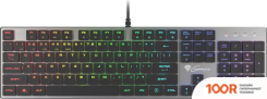 Клавиатура Genesis THOR 420 RGB (НЕТ КИРИЛЛИЦЫ) (71688)