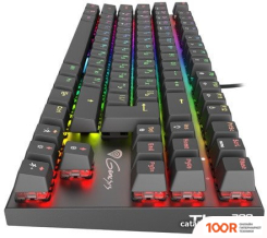 Клавиатура Genesis THOR 300 TKL RGB (71683)