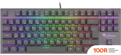 Клавиатура Genesis THOR 300 TKL RGB (71683)