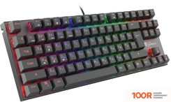 Клавиатура Genesis THOR 300 TKL RGB (71683)