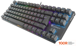 Клавиатура Genesis THOR 300 TKL RGB (71683)