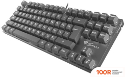 Клавиатура Genesis THOR 300 TKL (71682)