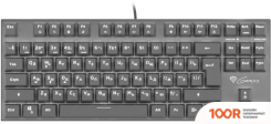 Клавиатура Genesis THOR 300 TKL (71682)