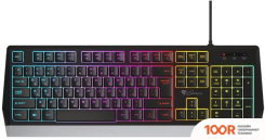 Клавиатура Genesis RHOD 300 RGB (71679)