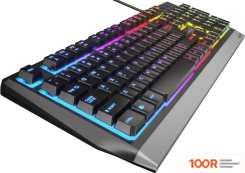 Клавиатура Genesis RHOD 300 RGB (71679)