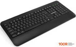 Клавиатура ExeGate PROFESSIONAL STANDARD LY-E5500M COLOR BOX (71635)
