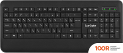 Клавиатура ExeGate PROFESSIONAL STANDARD LY-E5500M COLOR BOX (71635)