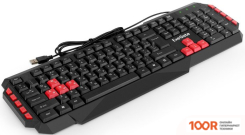 Клавиатура ExeGate MULTIMEDIA PROFESSIONAL STANDARD LY-505M (71633)