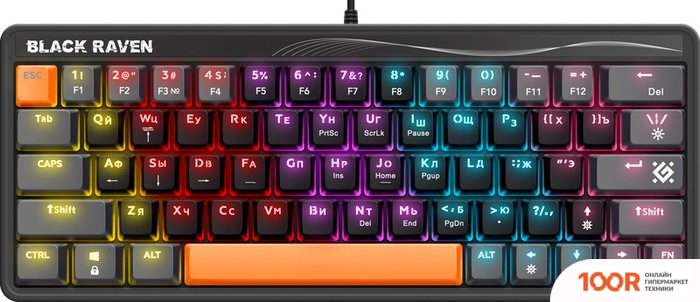 Клавиатура Defender BLACK RAVEN GK-417 45414 (71417)