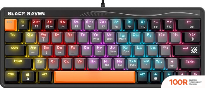 Клавиатура Defender BLACK RAVEN GK-417 45413 (71416)