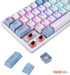 Клавиатура Defender AMOX GK-585 (71401)