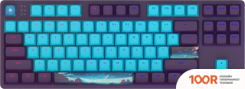 Клавиатура Dark Project ONE 87 NIGHT SKY (G3MS SAPPHIRE) (71390)