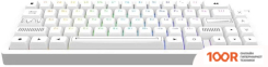 Клавиатура Dark Project KD65A WIRELESS WHITE (G3MS ZIRCON) (71377)