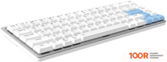 Клавиатура Dareu EK868 (KAIHL BROWN SWITCH, WHITE-BLUE) (71364)