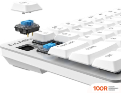 Клавиатура Dareu EK868 (KAIHL BROWN SWITCH, WHITE-BLUE) (71364)