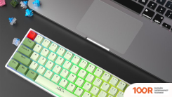 Клавиатура AULA F3068 (БЕЛЫЙ/ЗЕЛЕНЫЙ) (71184)