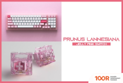 Клавиатура Akko ACR 98 MINI PRUNUS LANNESIANA (AKKO CS JELLY WHITE) (71102)
