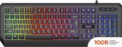 Клавиатура Acer OKW300 (71008)