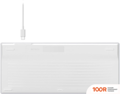 Клавиатура A4Tech FSTYLER FX61 (СЕРЕБРИСТЫЙ/БЕЛЫЙ) (70980)