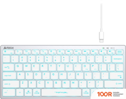 Клавиатура A4Tech FSTYLER FX61 (СЕРЕБРИСТЫЙ/БЕЛЫЙ) (70980)