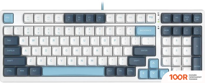 Клавиатура A4Tech FSTYLER FS300 PANDA SNOWBOARDING (70971)