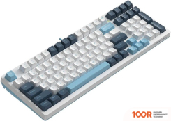 Клавиатура A4Tech FSTYLER FS300 PANDA SNOWBOARDING (70971)