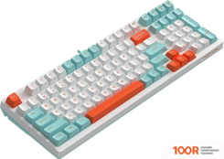 Клавиатура A4Tech FSTYLER FS300 PANDA SNORKELING (70970)