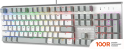 Клавиатура A4Tech FSTYLER FS100 NEON (СЕРЕБРИСТЫЙ/СЕРЫЙ) (70967)