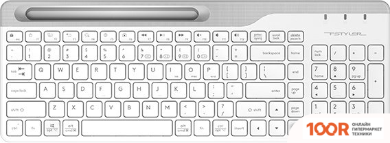 Клавиатура A4Tech FSTYLER FBK25 (БЕЛЫЙ/СЕРЫЙ) (70926)
