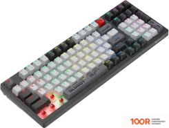 Клавиатура A4Tech BLOODY WS98 BLACK & WHITE (BLOODY BLMS RED PLUS) (70914)