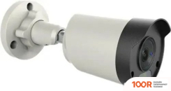 CCTV-камера Tantos TSC-P2HDFN (70841)