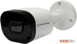 CCTV-камера Tantos TSC-P2HDF (70840)
