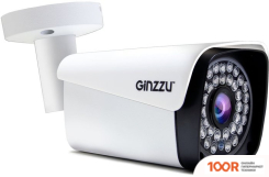 CCTV-камера Ginzzu HAB-5302S (70629)