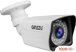 CCTV-камера Ginzzu HAB-2036P (70626)