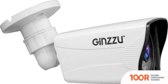 CCTV-камера Ginzzu HAB-2036P (70626)