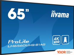 Информационная панель Iiyama PROLITE LH6560UHS-B1AG (69626)