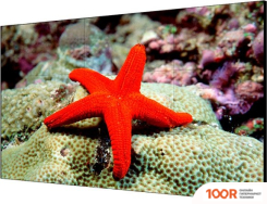 Информационная панель Hikvision DS-D2055LU-Y (69547)