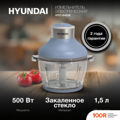 Hyundai HYC-G4208 (69279)