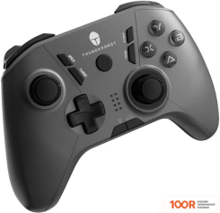 Thunderobot G35 SHADOW STEEL (68967)